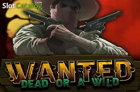 Wild west outlaw with revolver reels